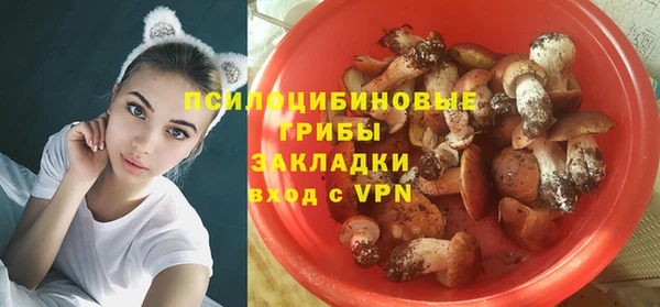MDMA Каменногорск
