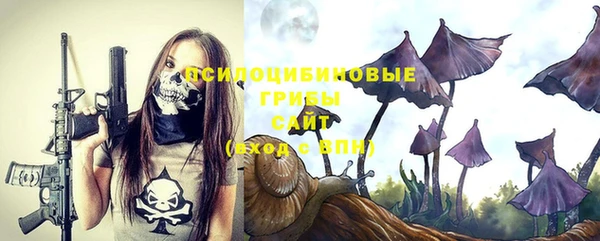 a pvp Абаза