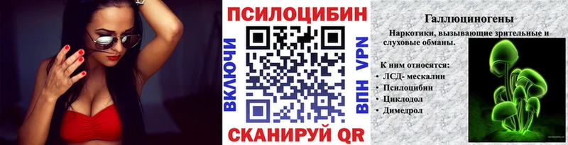 KRAKEN   Новокузнецк  Псилоцибиновые грибы MAGIC MUSHROOMS 