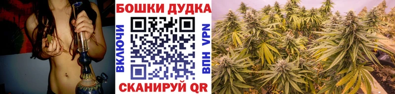 закладка  Новокузнецк  Шишки марихуана план 